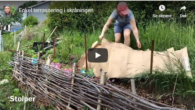 Enkel terrassering i skråningen