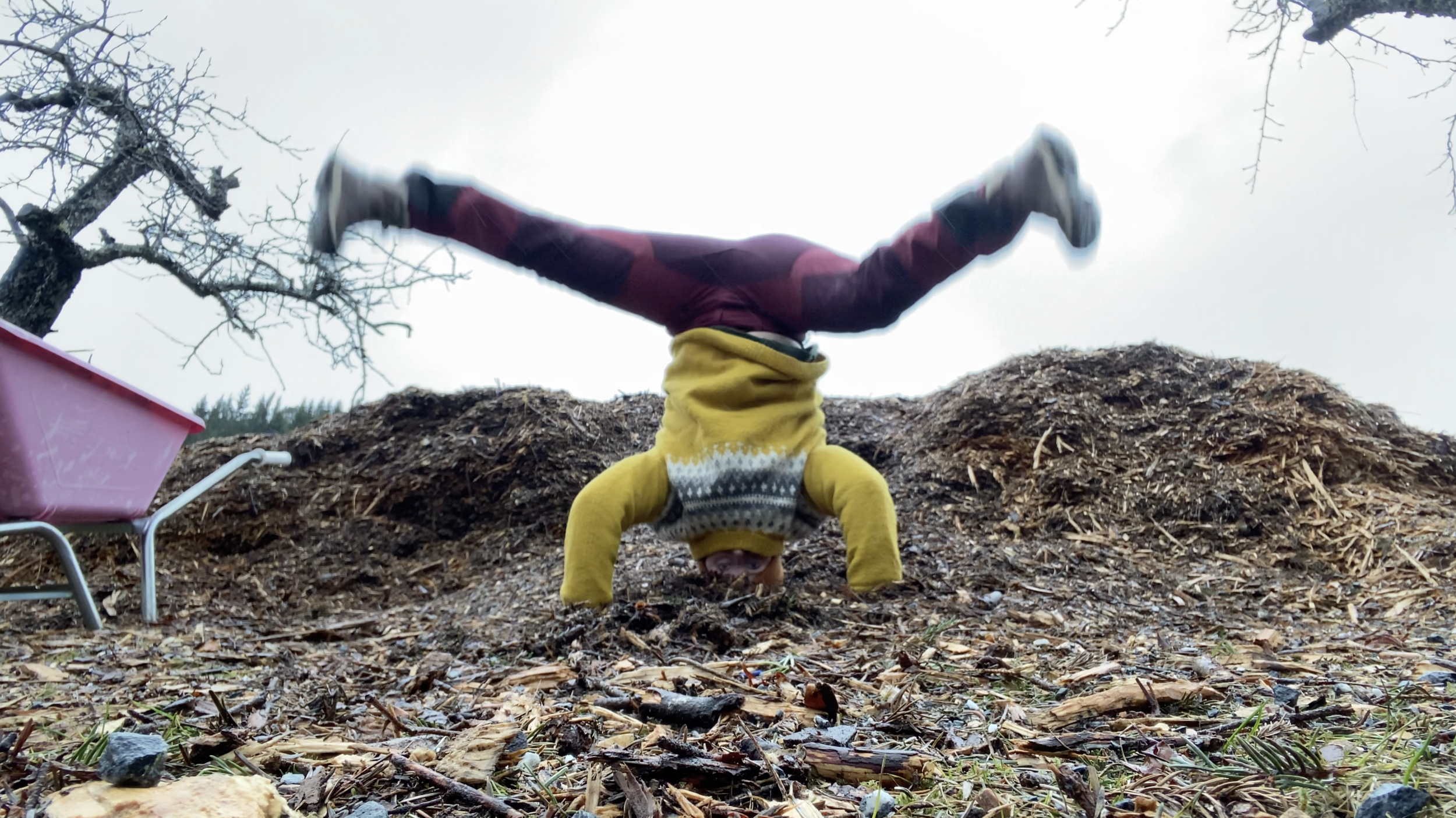 Våg å eksperimentere !