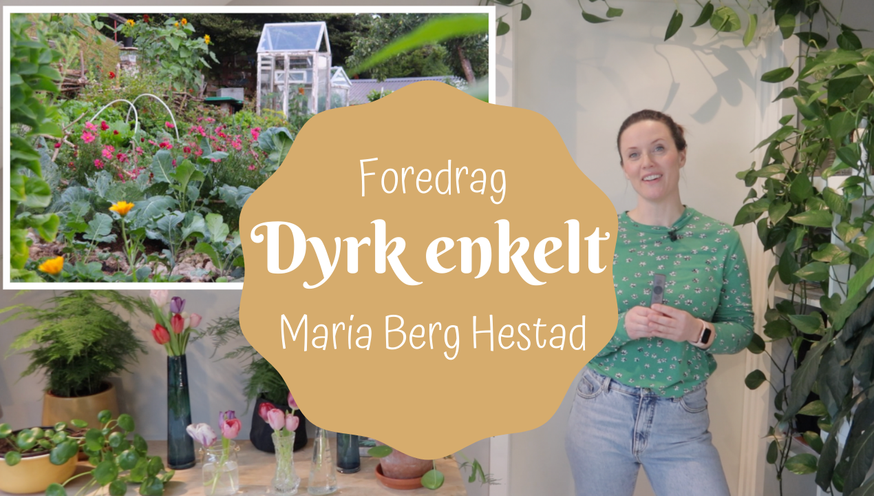 Foredraget Dyrk enkelt digitalt 