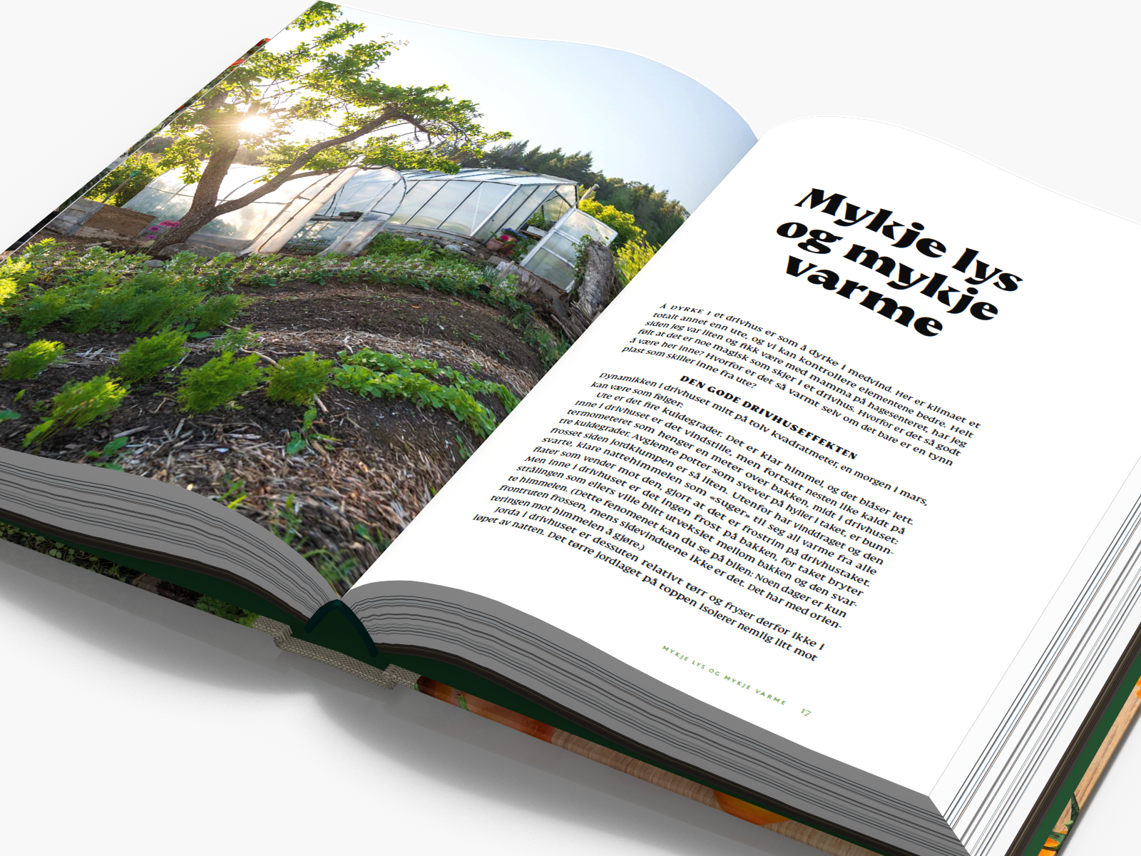 Sniktitt i nyeste boken