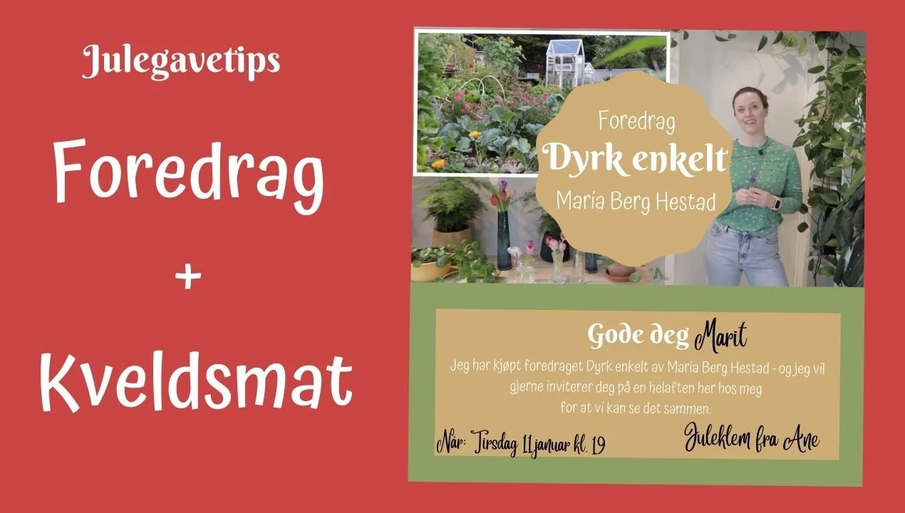 Foredrags-helaften i julegave