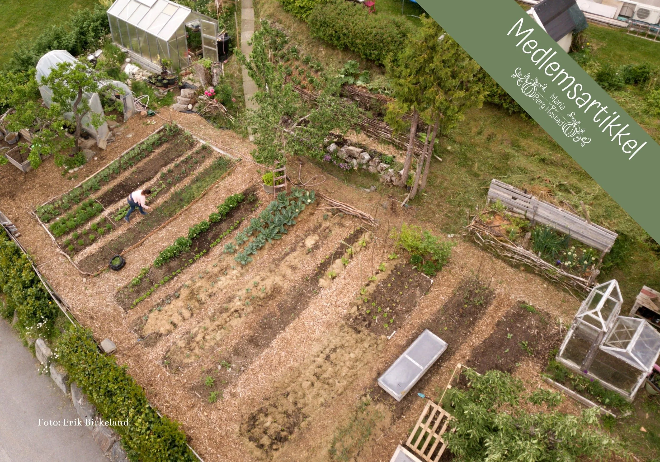 Tips til bedinndelinger