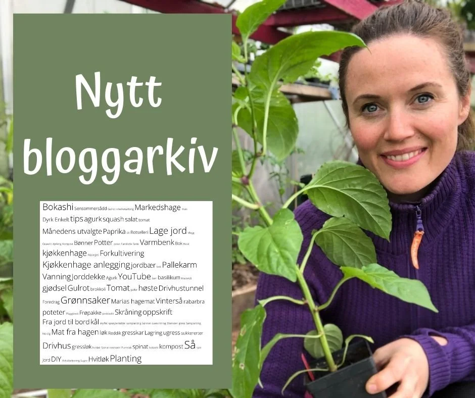 Nytt arkiv på bloggen
