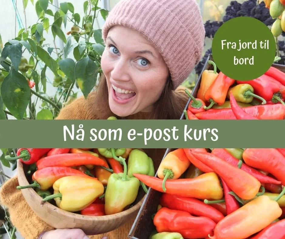 Fra jord til bord - e-post kurs! 
