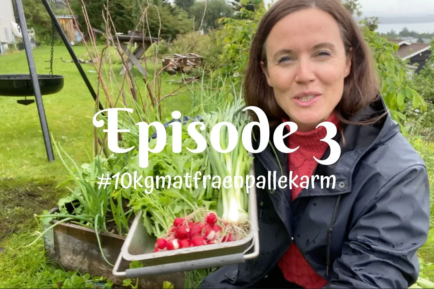 Episode 3 - #10kgmatfraenpallekarm 