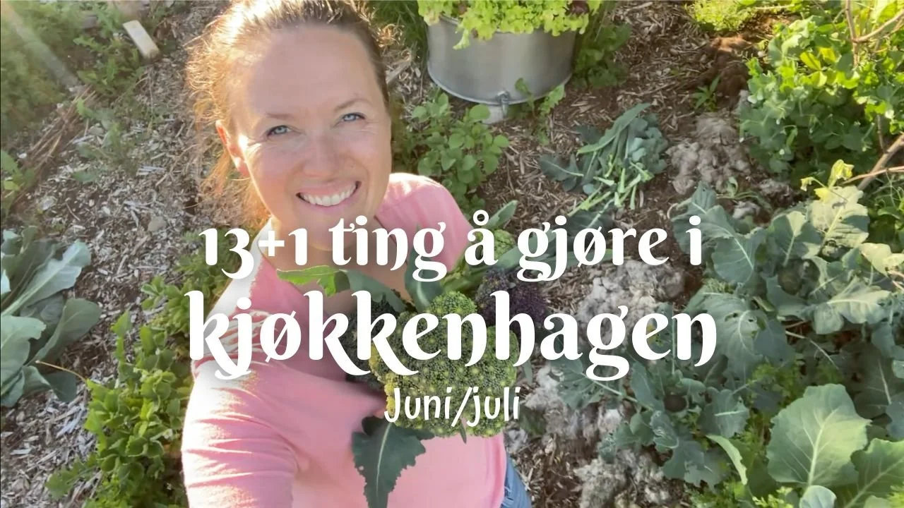 13+1 ting å gjøre i kjøkkenhagen i juni/juli - (med tekst og linker for medlemmer)