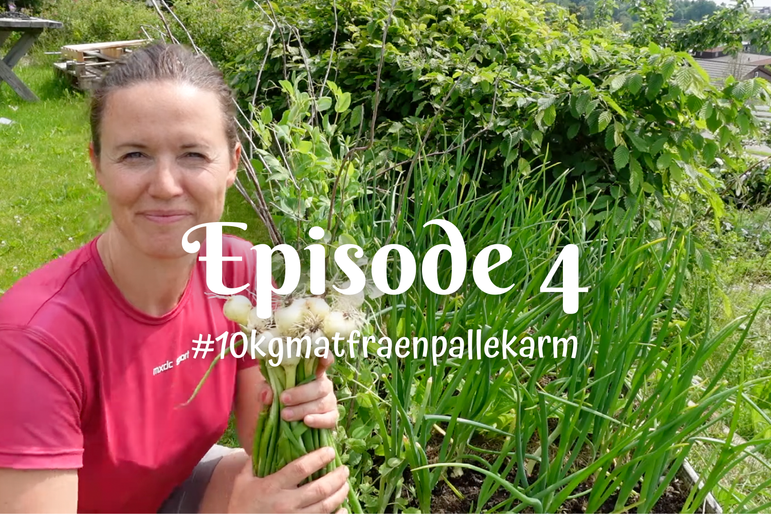 Episode 4 - #10kgmatfraenpallekarm