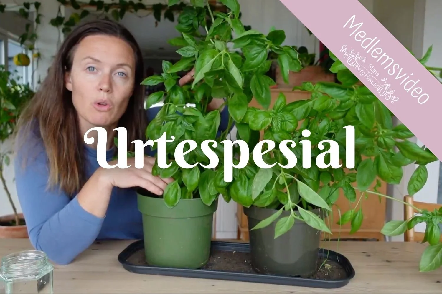 Urtespesial - rundtur