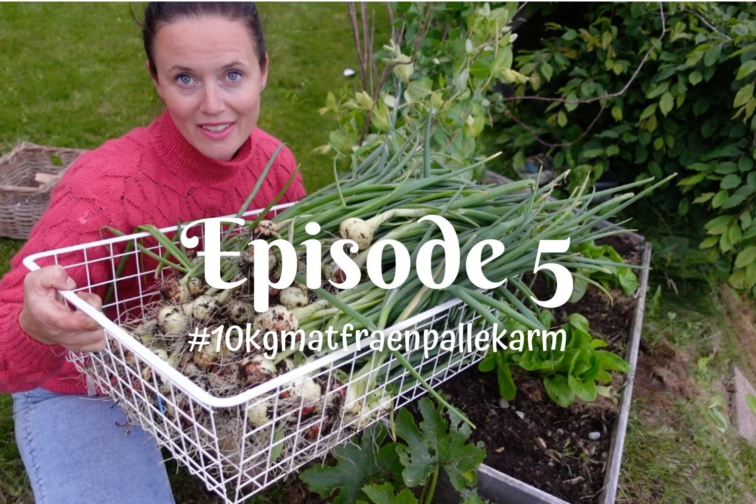 Episode 5 - #10kgmatfraenpallekarm 
