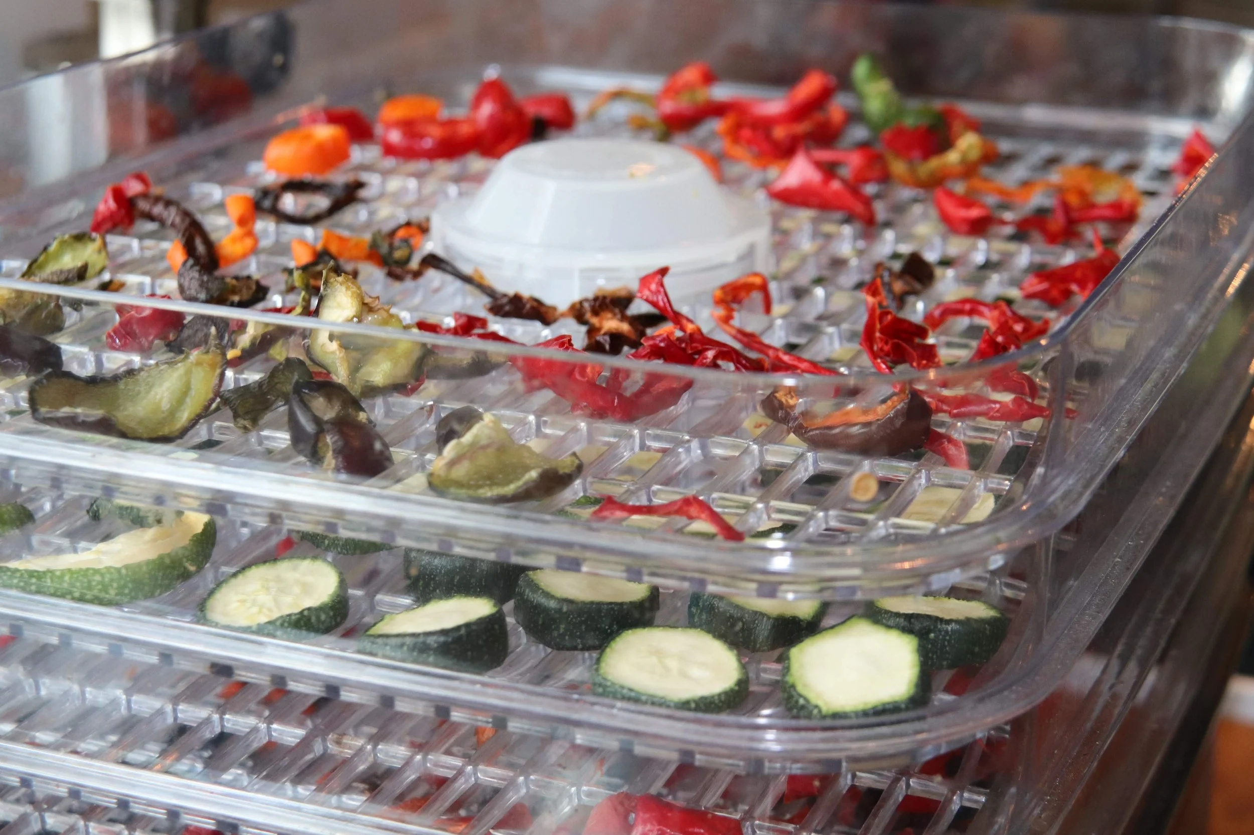 Min praktiske dehydrator