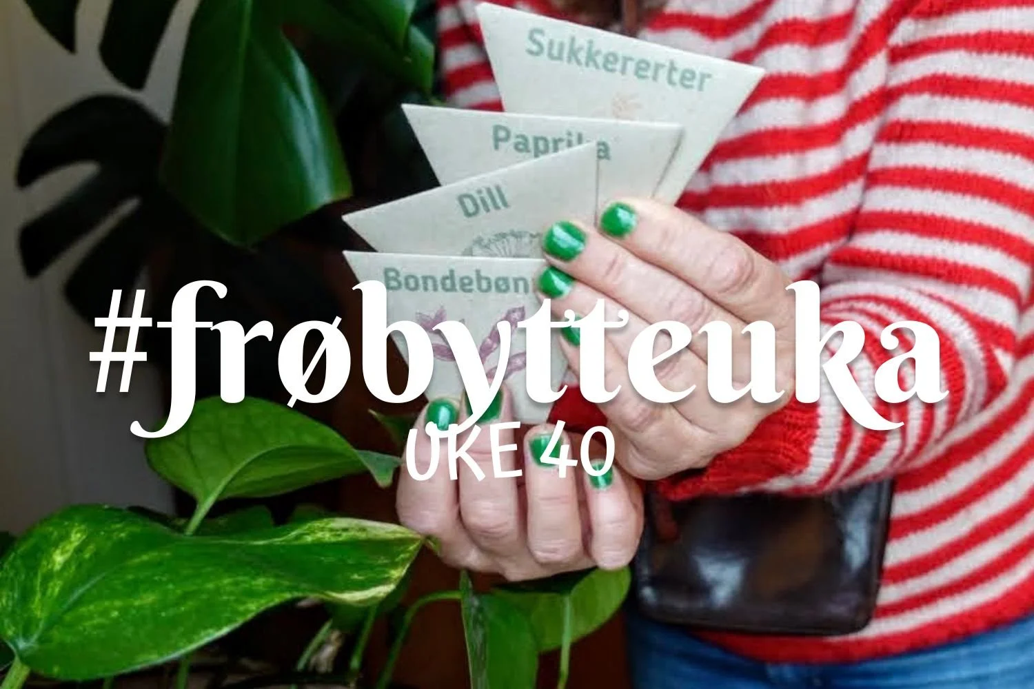 #FrøbytteUKA