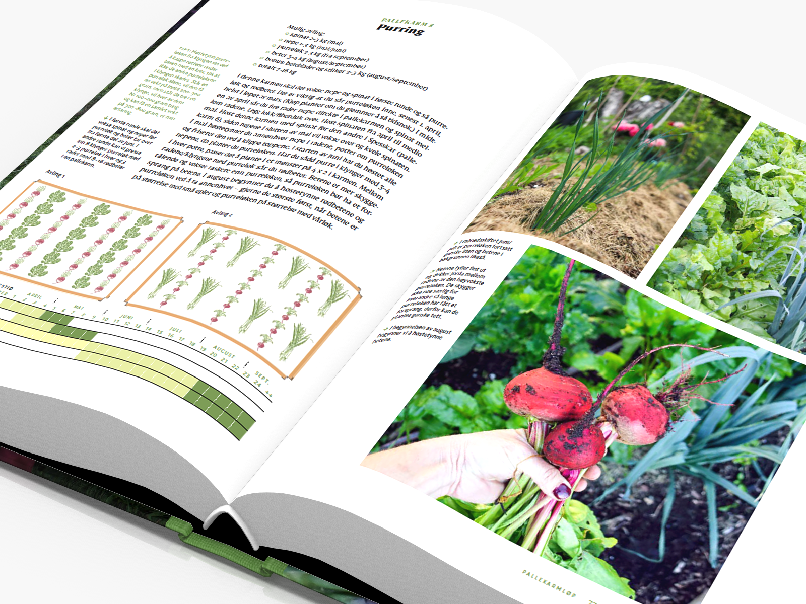 Sniktitt på nye boken Matauk med pallekarm