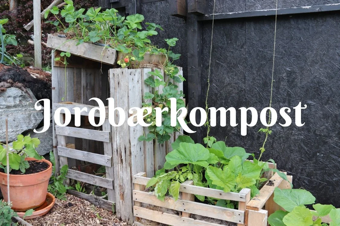Jordbærkompost