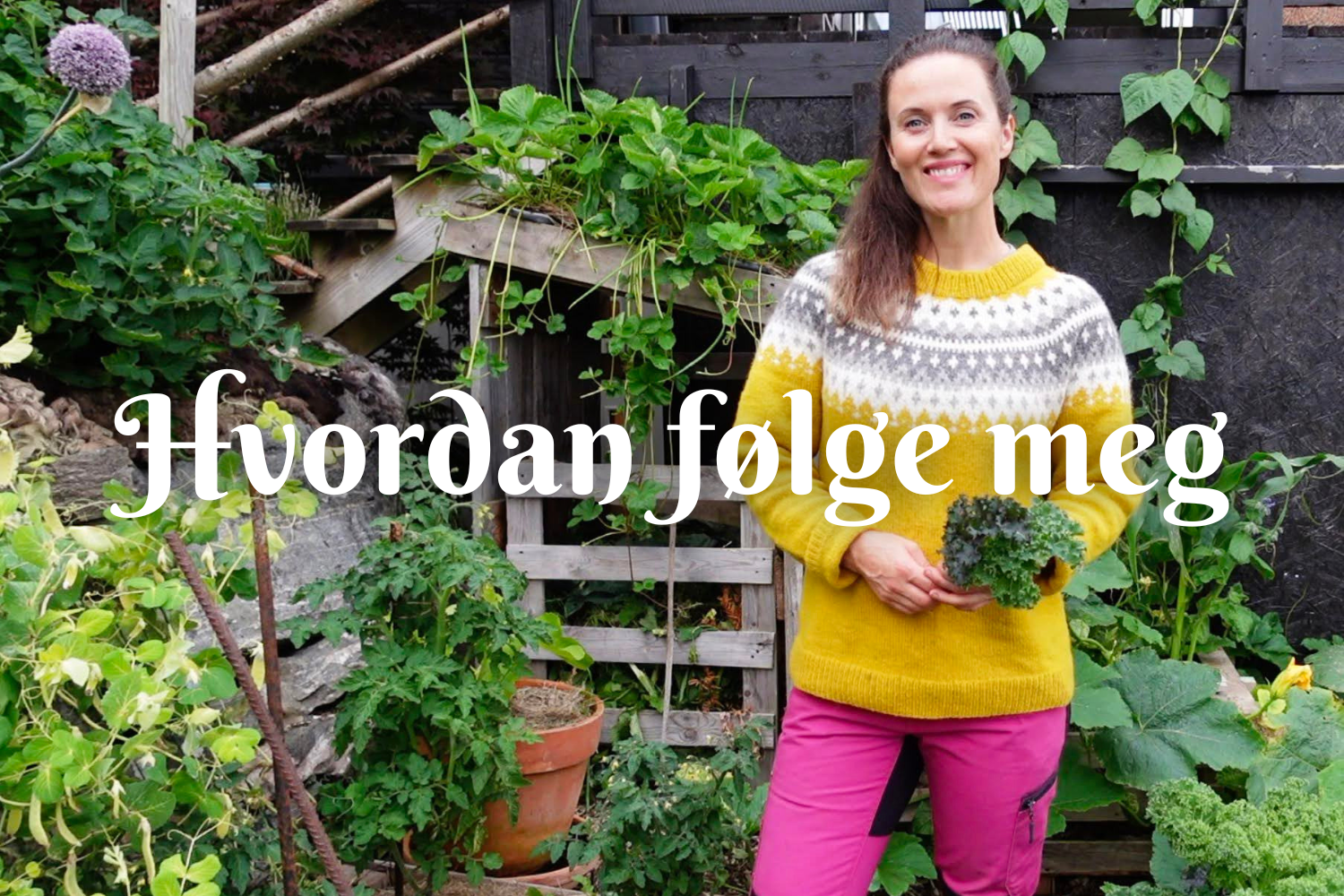 Hvordan følge meg