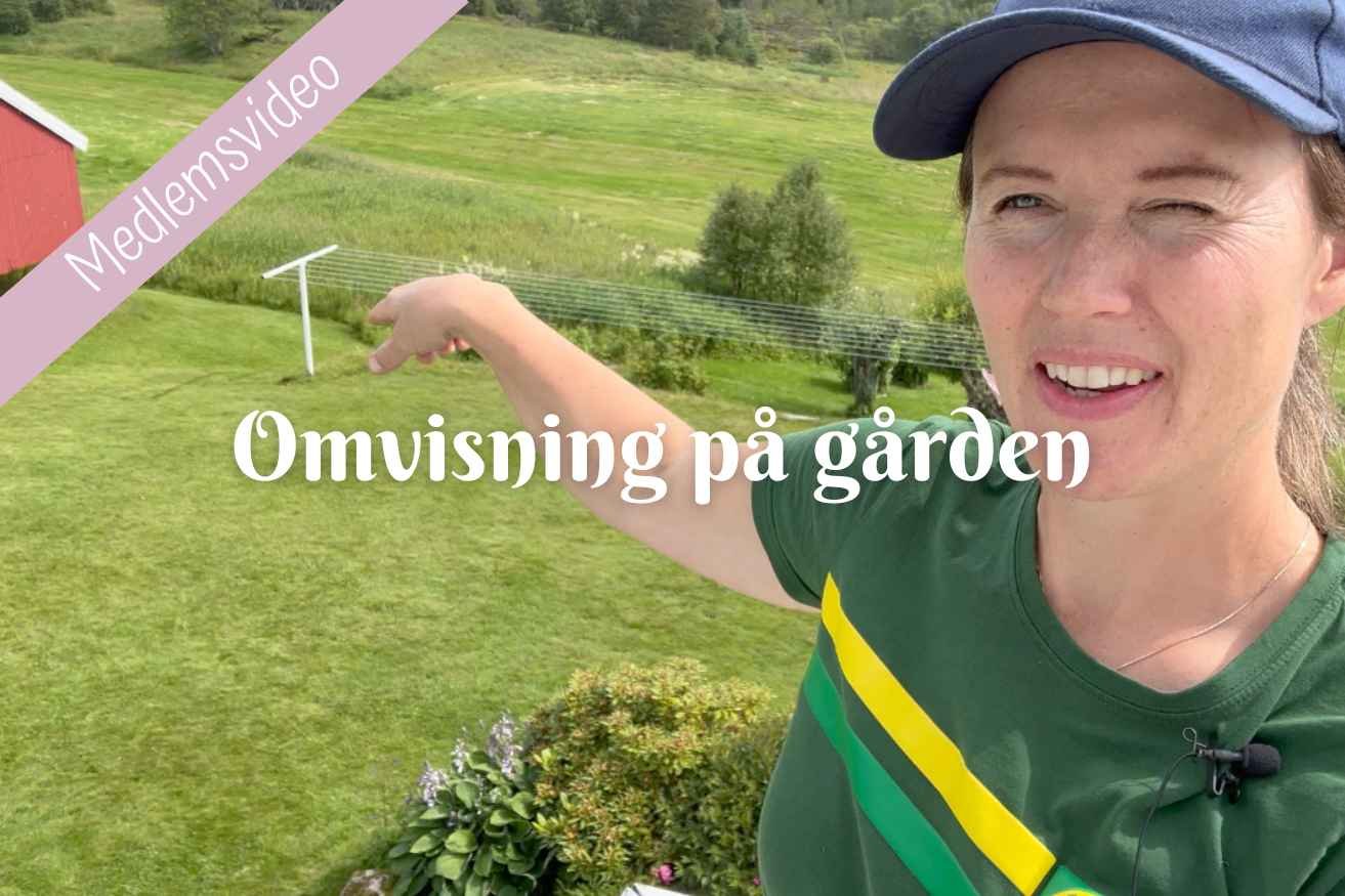 Omvisning på gården