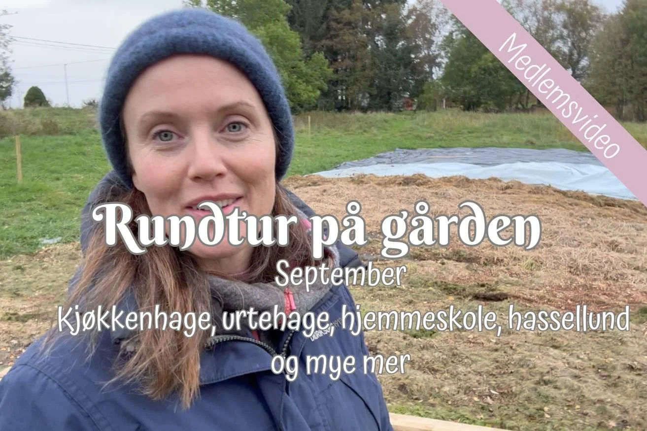 Rundtur på gården | September 