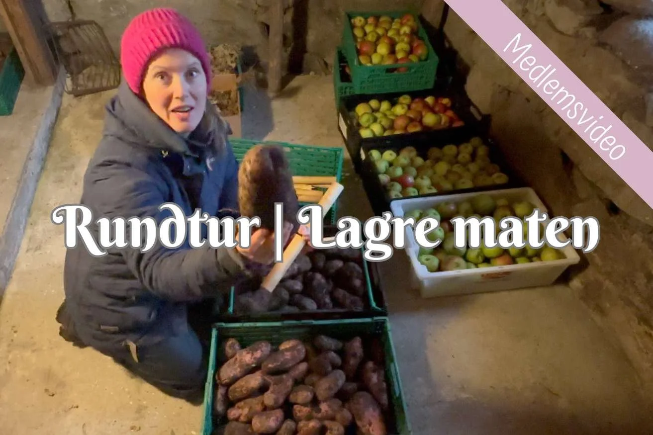 Rundtur | Lagre maten i kjeller og skafferi.  