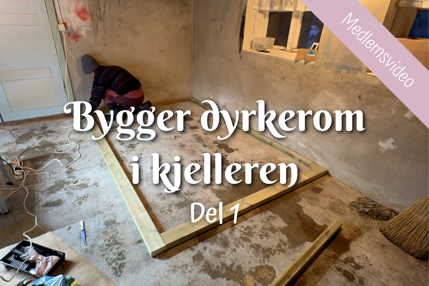 Bygger dyrkerom i kjelleren - Del 1