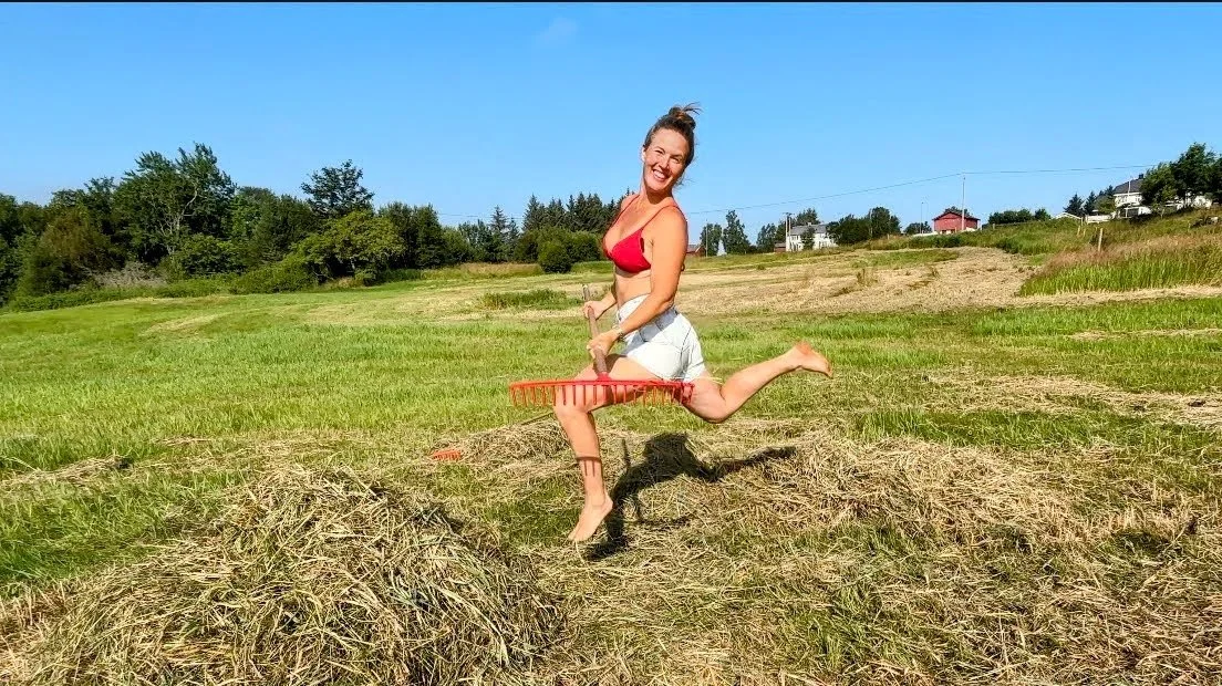 Høsting av gress til vinteren