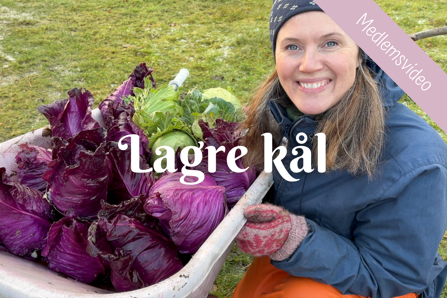 Lagre kål