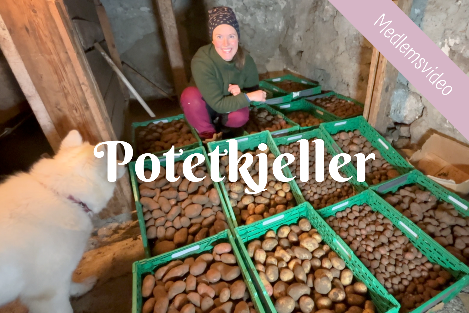 Potetkjeller