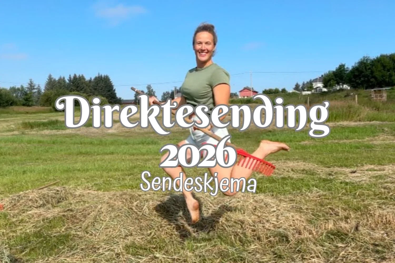 Live sendeskjema 2026