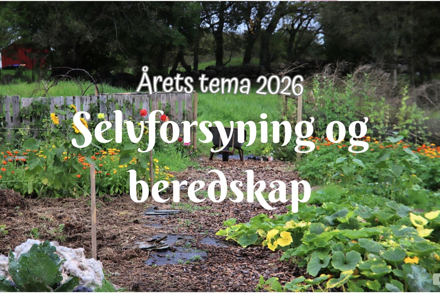Årets tema 2026 - Selvberedt