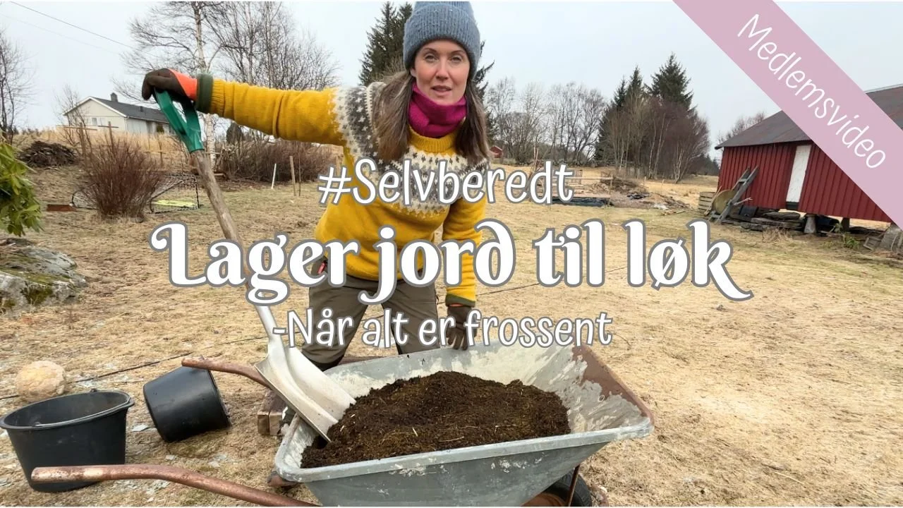 #Selvberedt | Lager jord til løk 