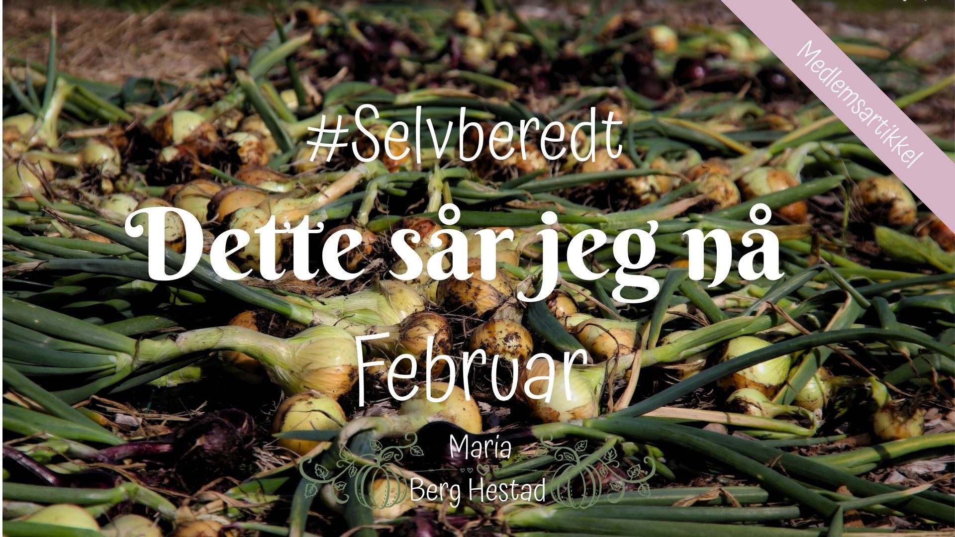 #Selvberedt | Dette sår jeg nå |  Februar