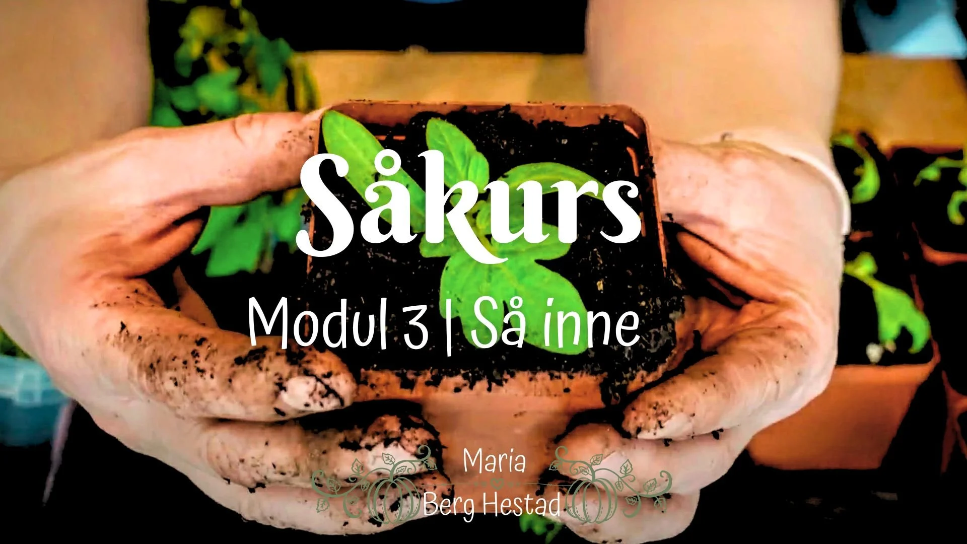 Såkurs | Modul 3 | Så inne