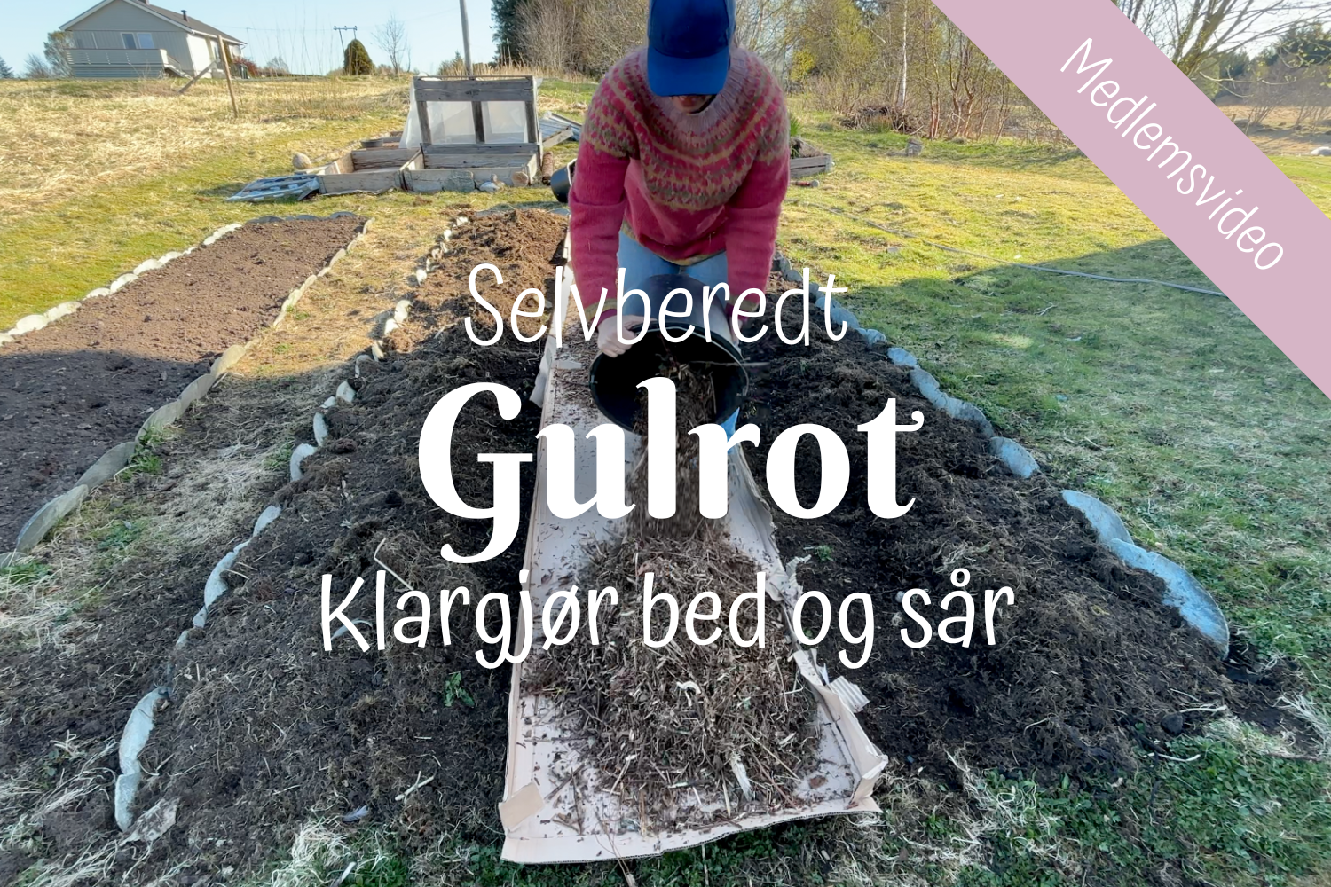 Selvberedt | Gulrot | Klargjør bed og sår