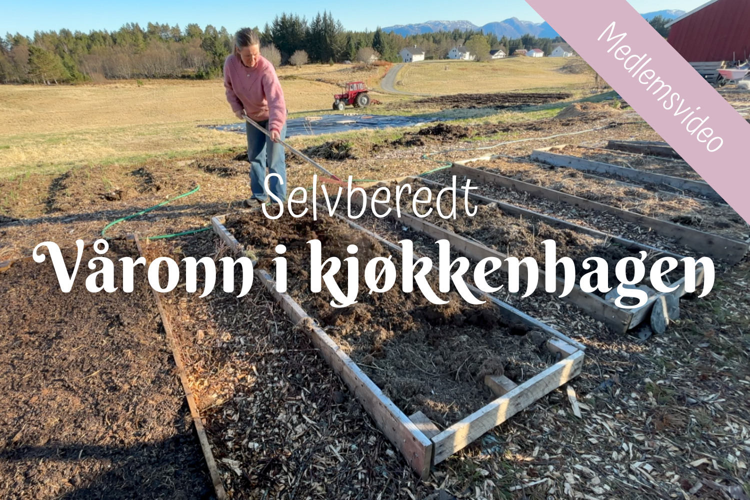 Selvberedt | Våronn i kjøkkenhagen