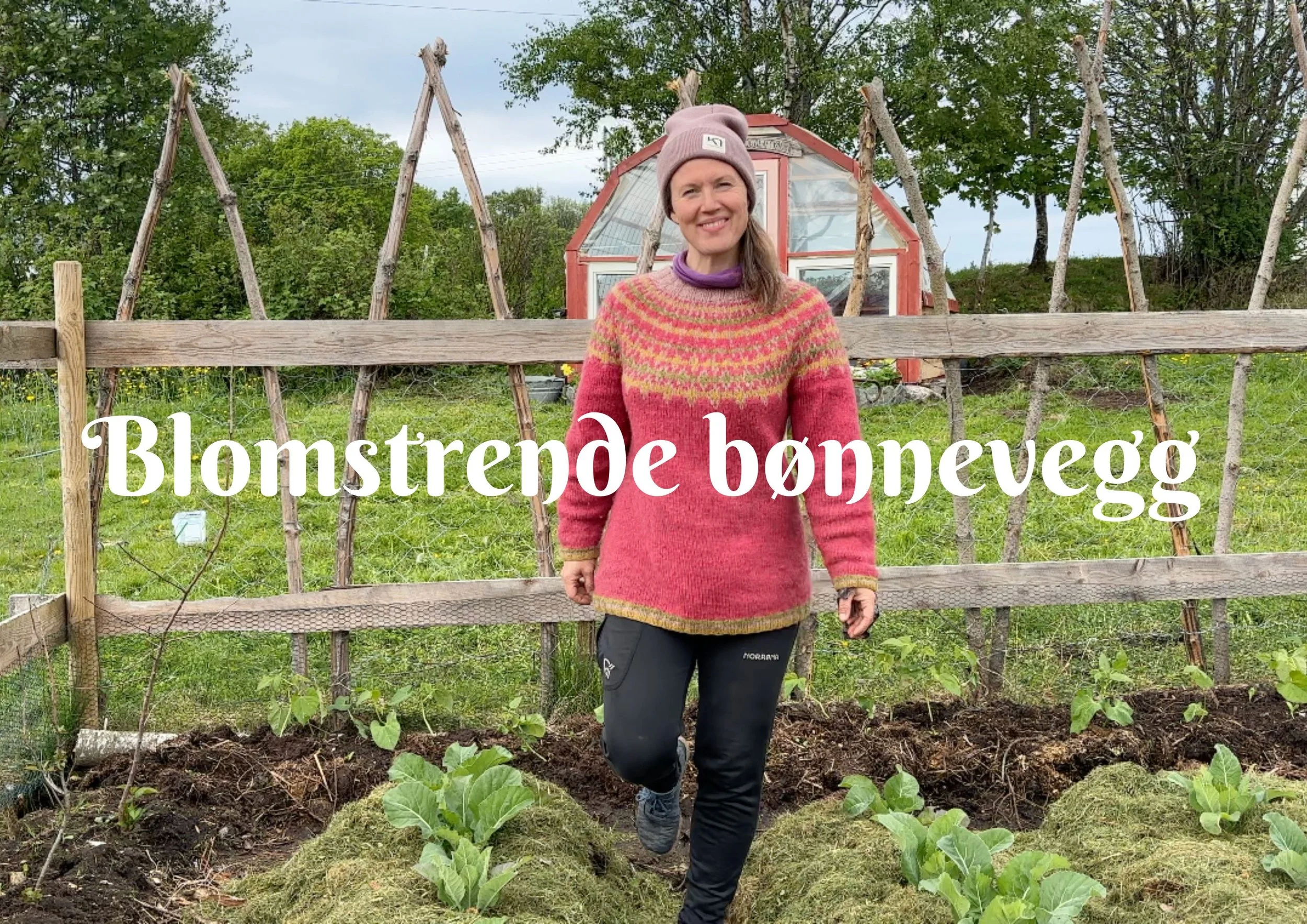 Blomstrende bønnevegg til stor nytte