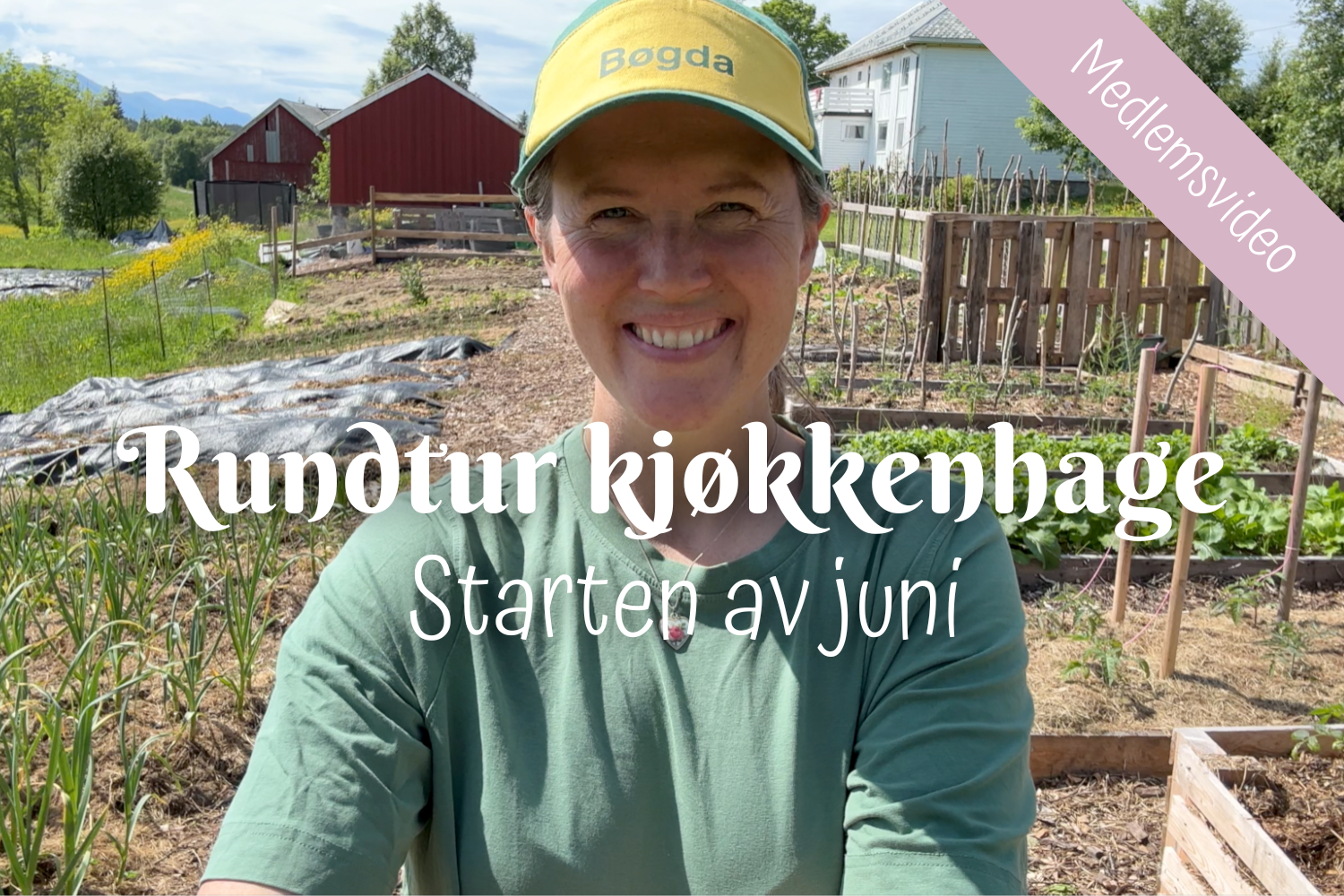 Rundtur kjøkkenhage | Starten av juni