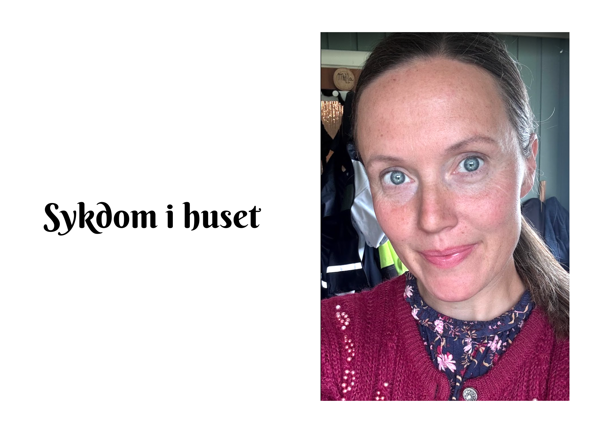 Sykdom i huset 