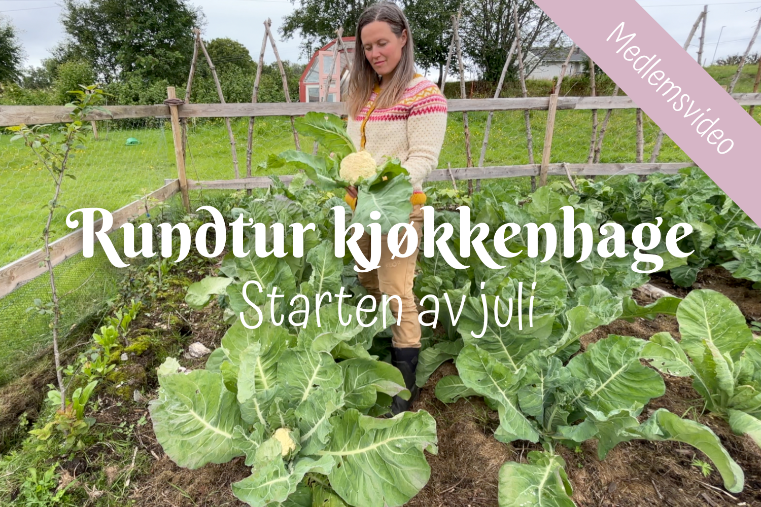 Rundtur kjøkkenhage | Starten av juli