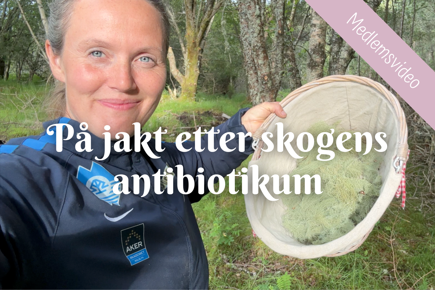 På jakt etter skogens antibiotikum