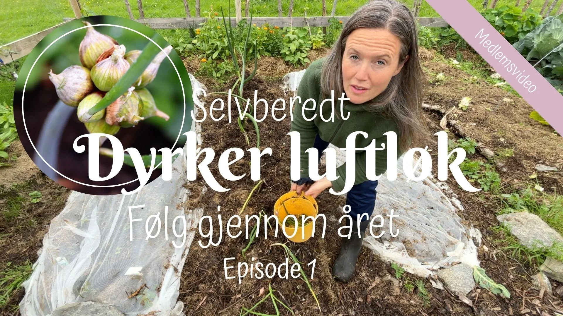 Selvberedt | Dyrker luftløk | Ep. 1
