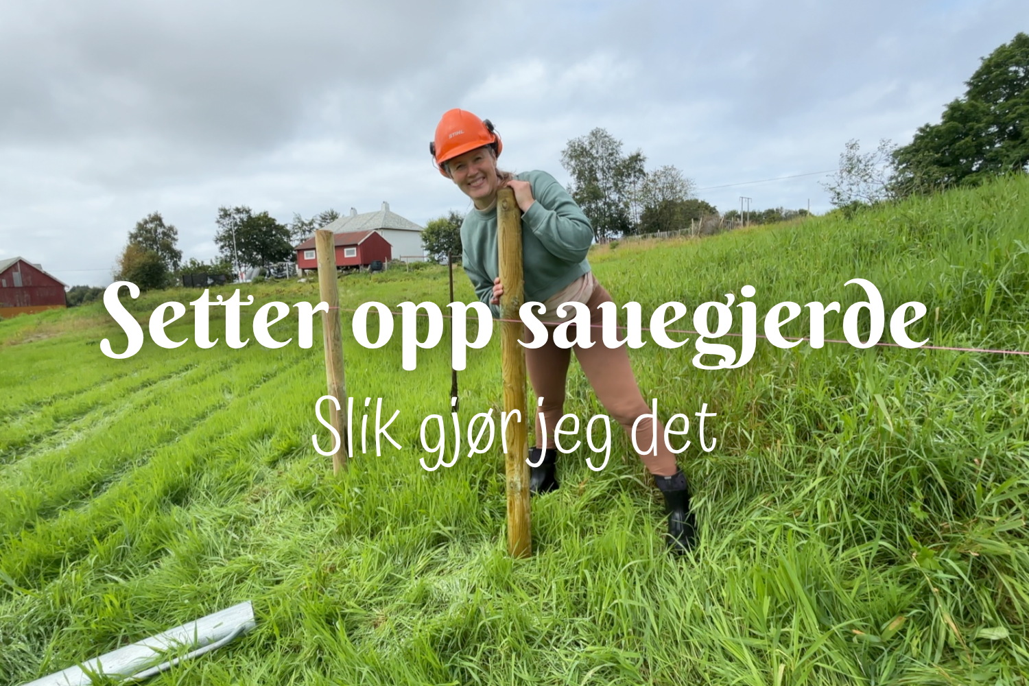 Setter opp sauegjerde - slik gjør jeg det
