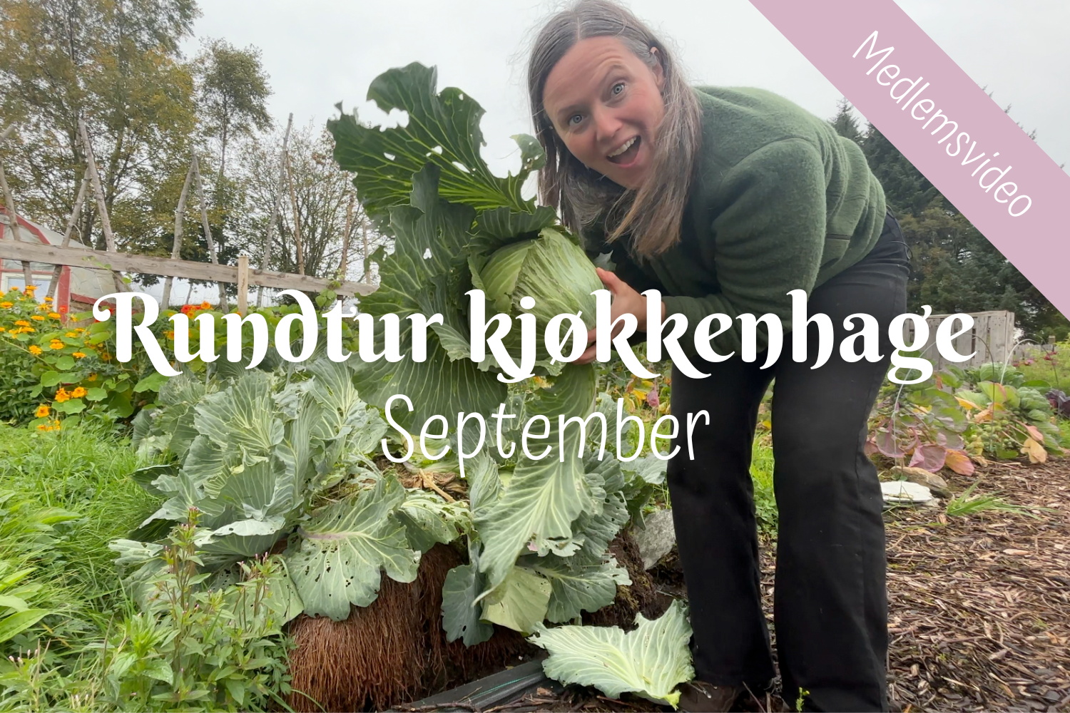 (+) Rundtur kjøkkenhage | September