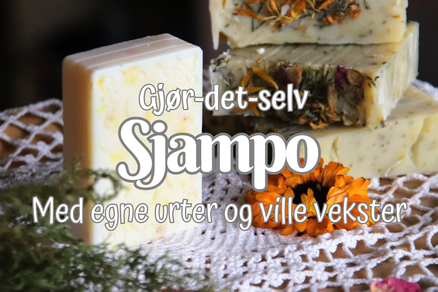 Sjampo | DIY med urter og ville vekster