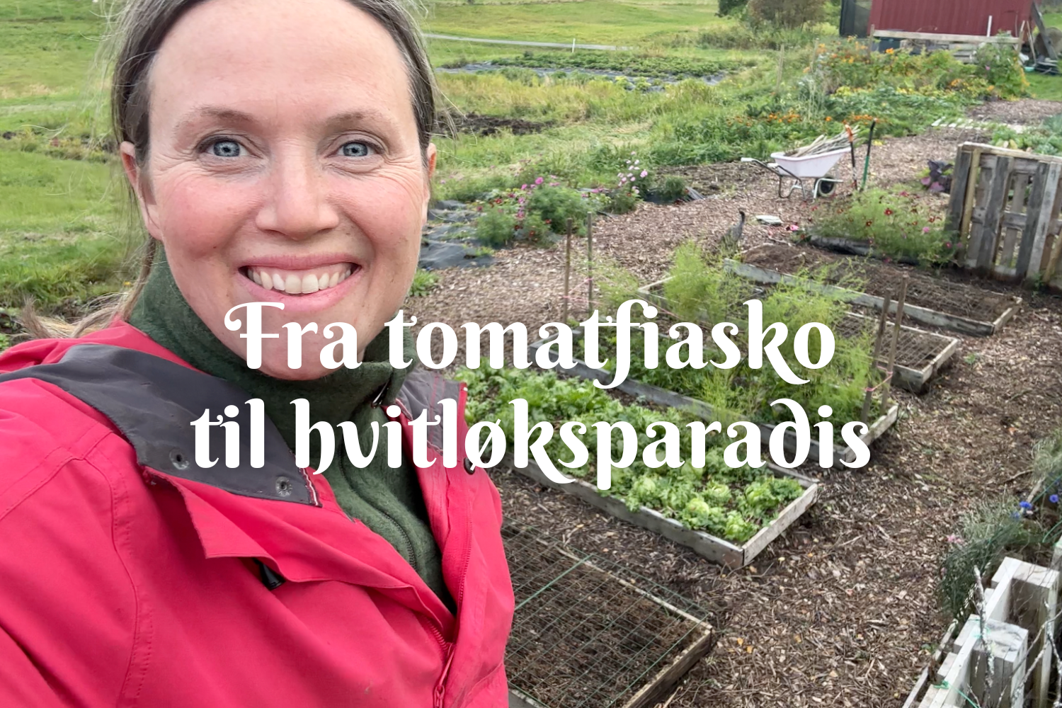 Fra tomatfiasko til hvitløksparadis