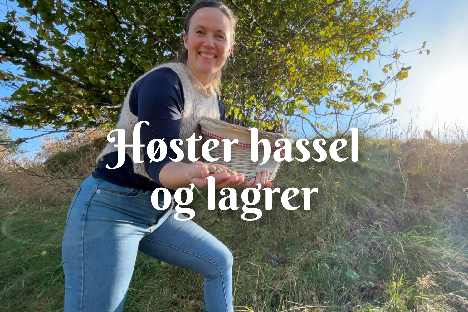 Høster hassel og lagrer