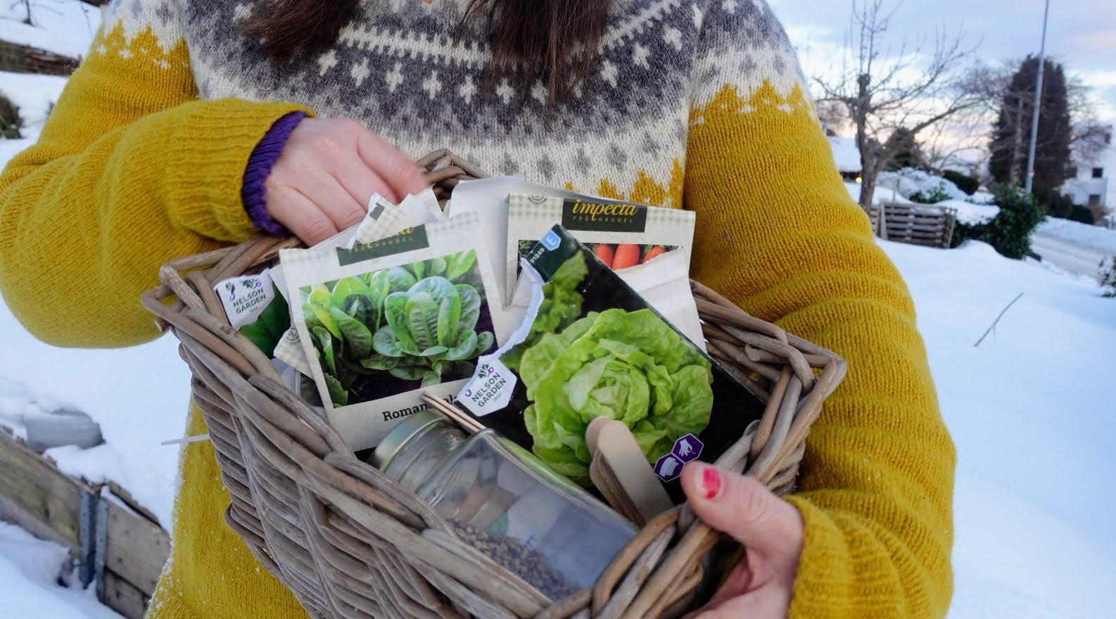 Vintersåing - guide 