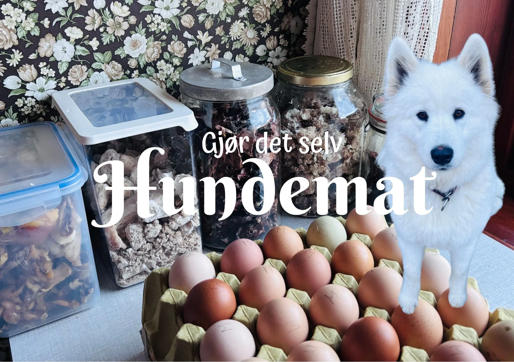 Gjørdetselvhundemat.jpg