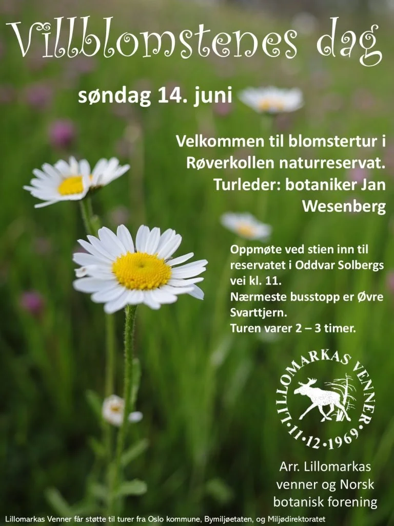 Villblomstenes dag🌼14.juni🪻