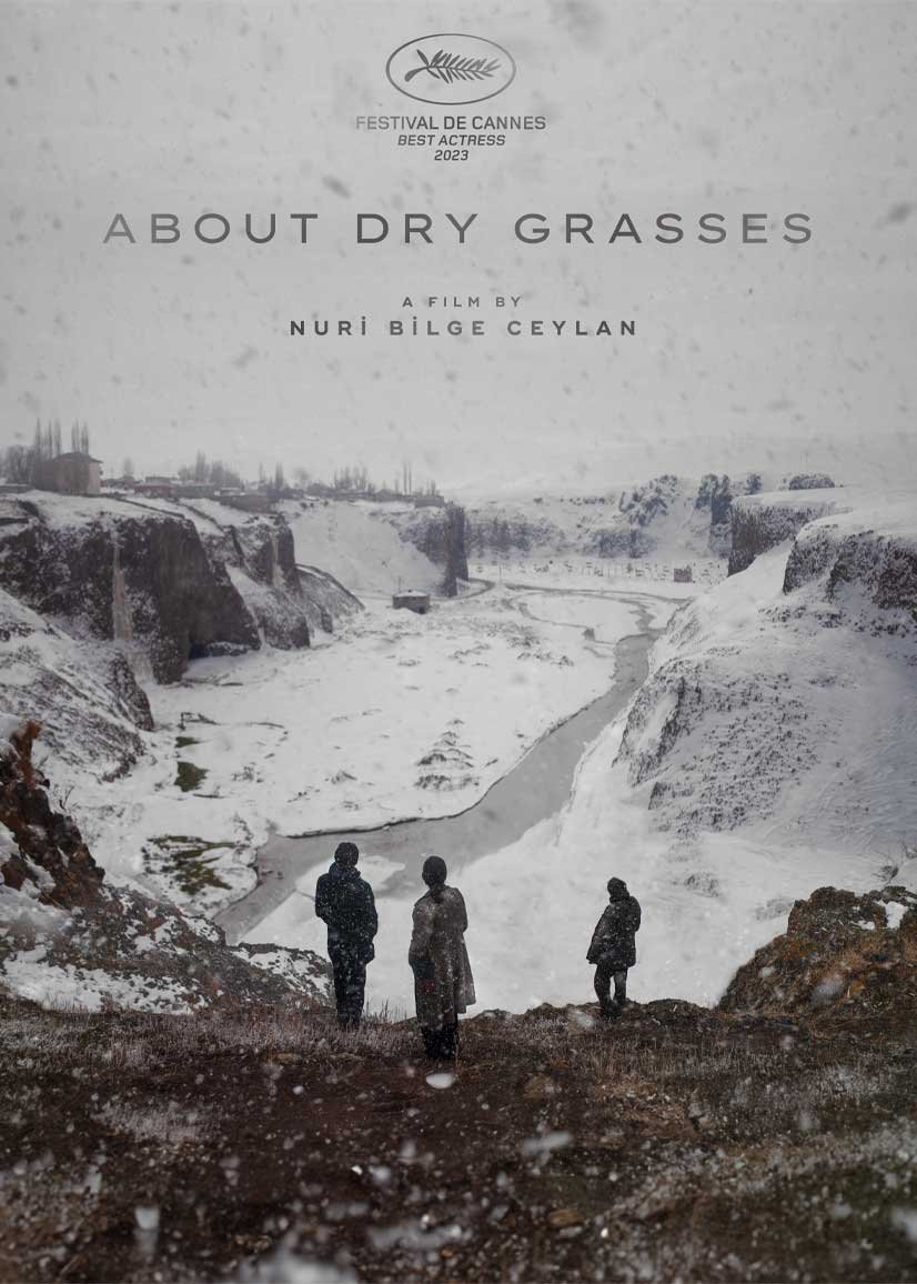 About Dry Grasses - biopremiär 2024