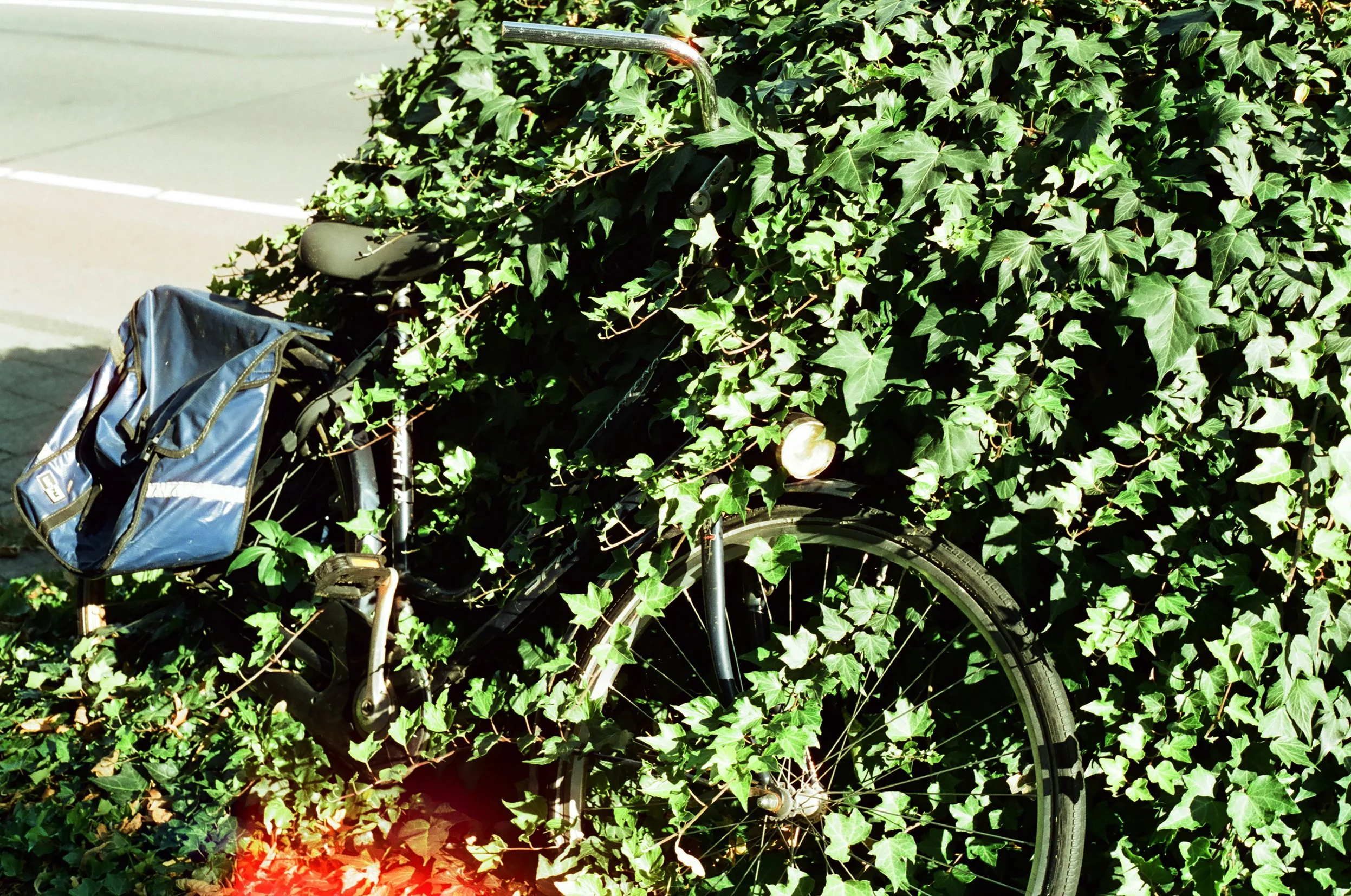 Love-Gen_Casey's Photography3.jpg