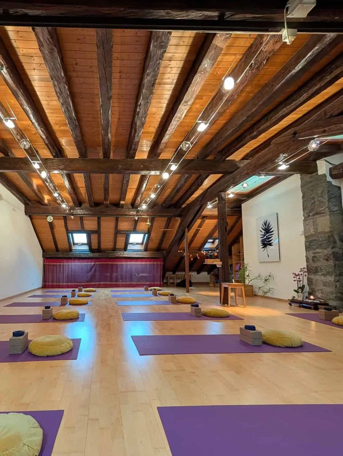 A spacious yoga studio with purple mats and yellow meditation cushions arranged on a light wooden floor, under a sloped ceiling with exposed wooden beams and skylights, decorated with potted plants and wall art.
