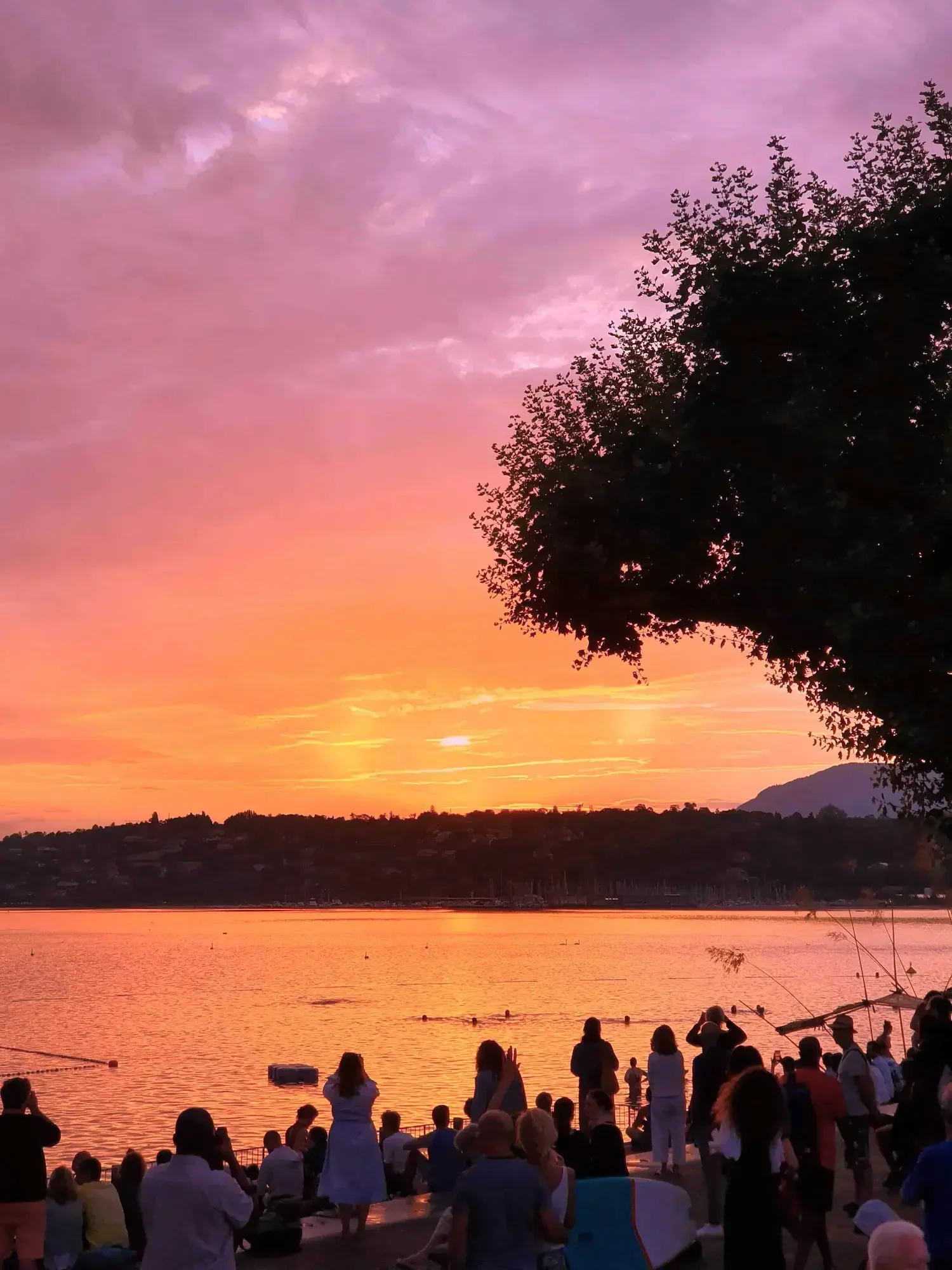 A crowd of people gathered by a lake Geneva during sunset, with colorful pink, orange, and purple sky and a large tree silhouette on the right side.